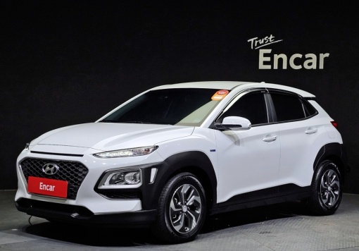 Hyundai kona hybrid