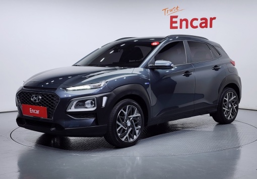 Hyundai kona hybrid