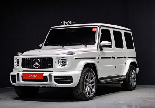 Mercedes-Benz G-Class W463b