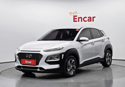 Hyundai kona hybrid