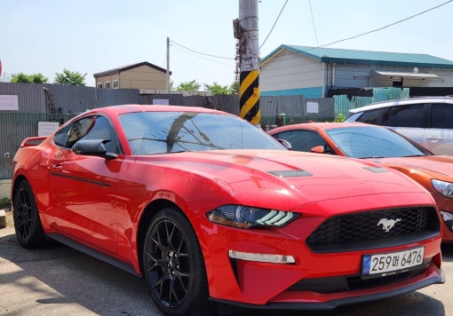 Ford mustang