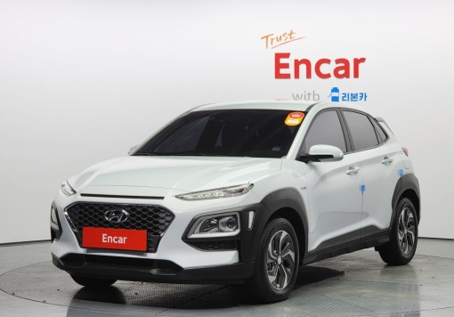 Hyundai kona hybrid