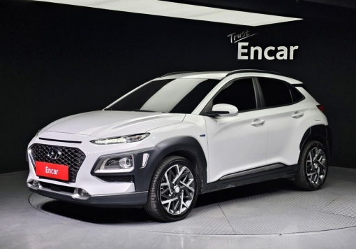 Hyundai kona hybrid