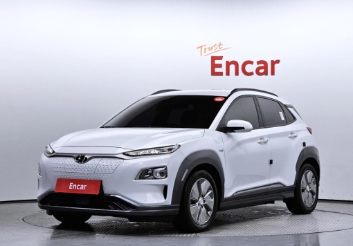 Hyundai kona electric