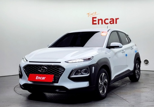 Hyundai kona hybrid
