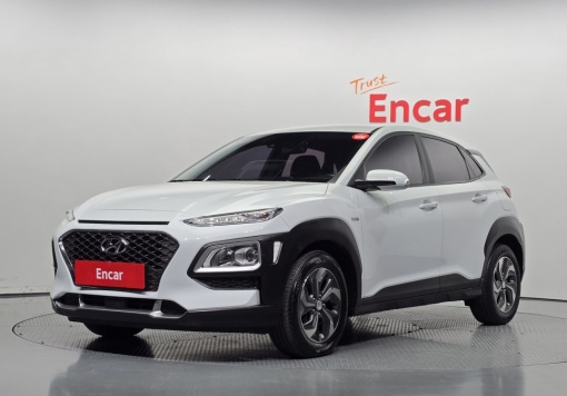 Hyundai kona hybrid