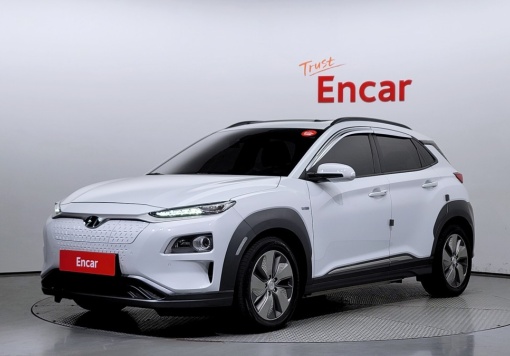 Hyundai kona electric