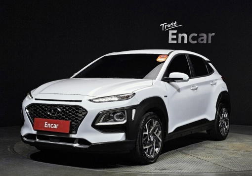 Hyundai kona hybrid