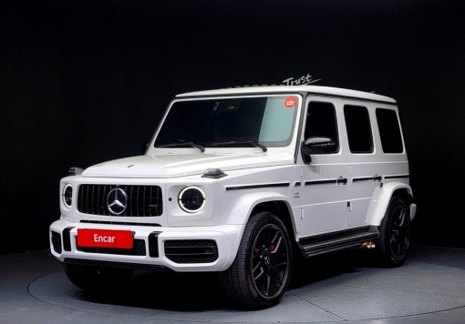 Mercedes-Benz G-Class W463b