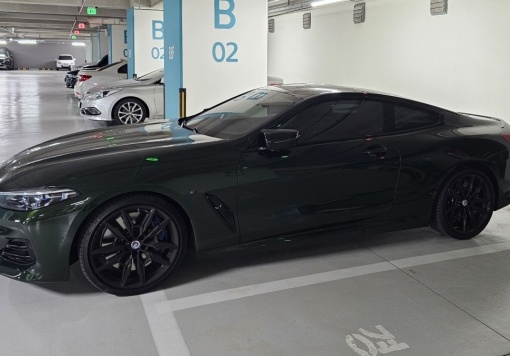 BMW 8 Series (G15)