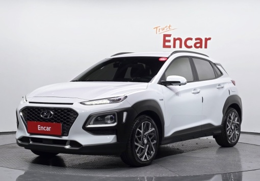 Hyundai kona hybrid