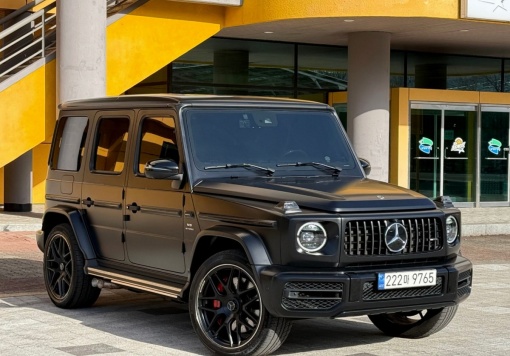 Mercedes-Benz G-Class W463b