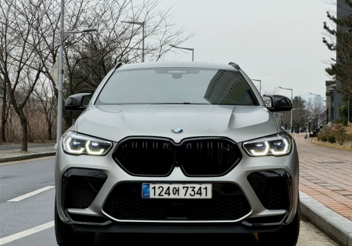 BMW X6M (G06)