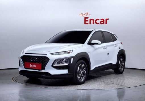 Hyundai kona hybrid