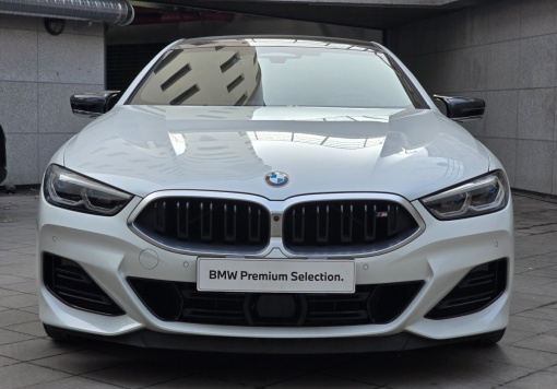 BMW 8 Series (G15)