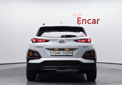 Hyundai kona hybrid