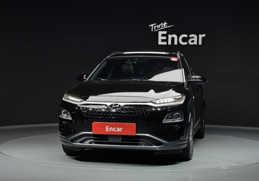 Hyundai kona electric
