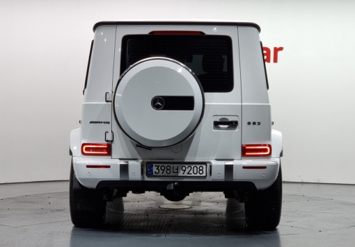 Mercedes-Benz G-Class W463b