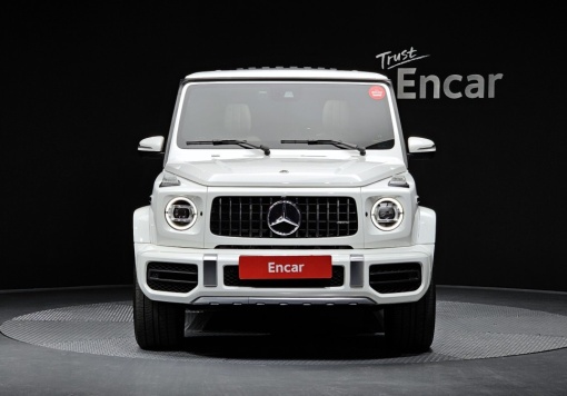 Mercedes-Benz G-Class W463b