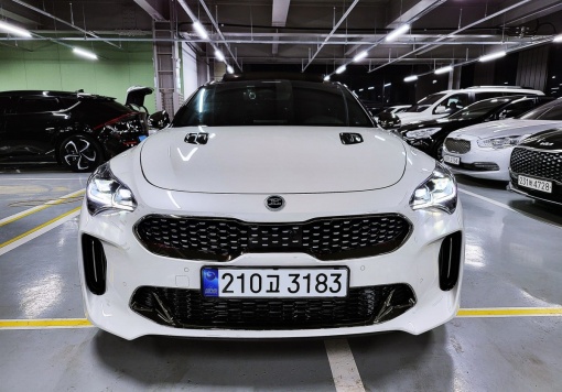 Kia Stinger Meister