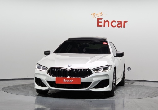 BMW 8 Series (G15)