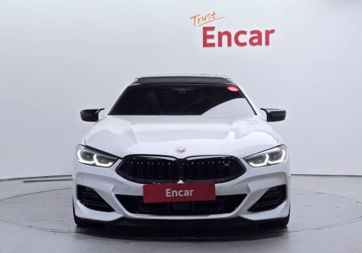 BMW 8 Series (G15)
