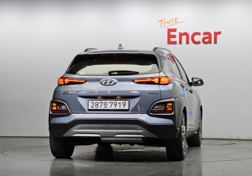 Hyundai kona hybrid