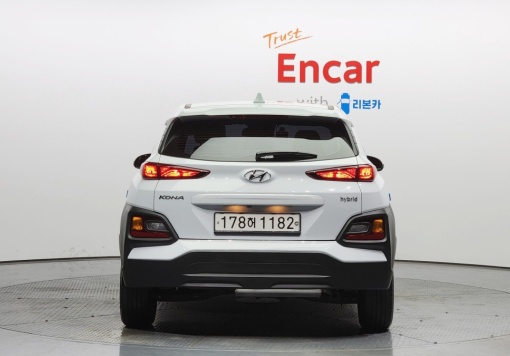 Hyundai kona hybrid