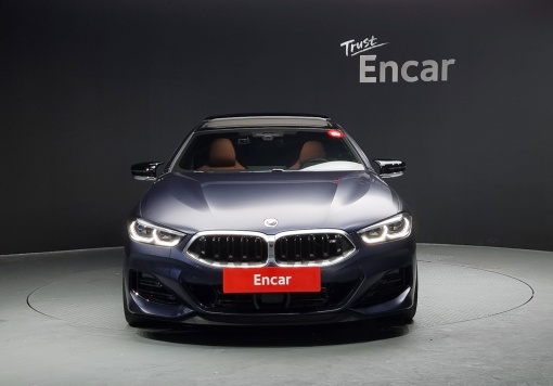 BMW 8 Series (G15)