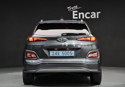 Hyundai kona electric