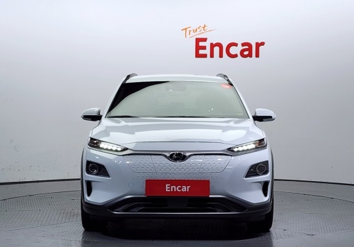 Hyundai kona electric