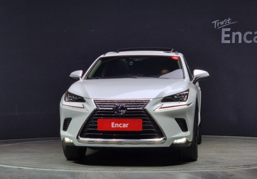 Lexus NX300h