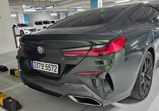 BMW 8 Series (G15)