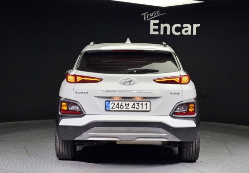 Hyundai kona hybrid