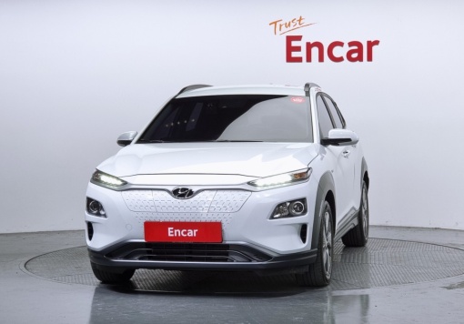 Hyundai kona electric