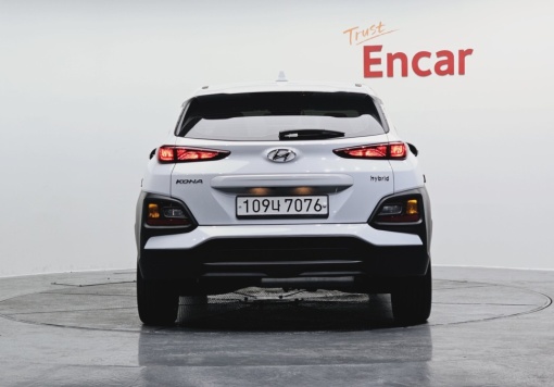 Hyundai kona hybrid