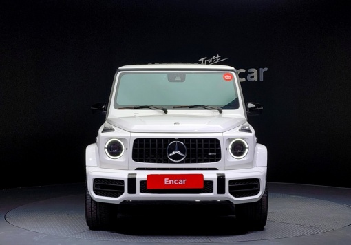 Mercedes-Benz G-Class W463b