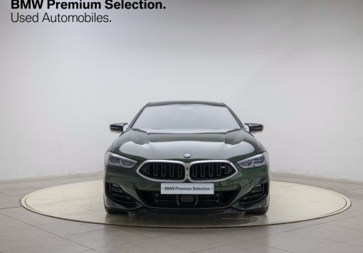 BMW 8 Series (G15)