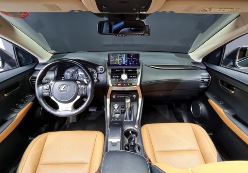 Lexus NX300h