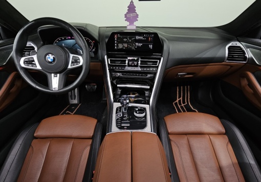BMW 8 Series (G15)