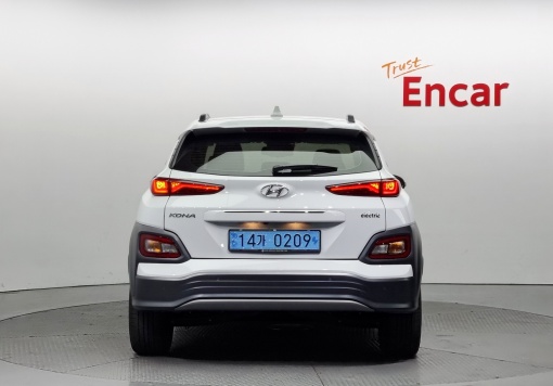 Hyundai kona electric