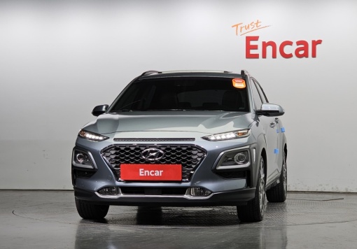 Hyundai kona hybrid