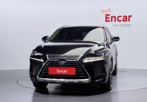 Lexus NX300h