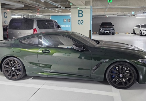 BMW 8 Series (G15)