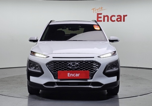 Hyundai kona hybrid