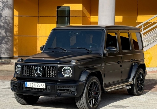 Mercedes-Benz G-Class W463b
