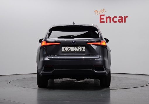 Lexus NX300h