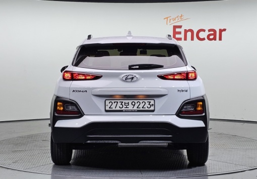 Hyundai kona hybrid