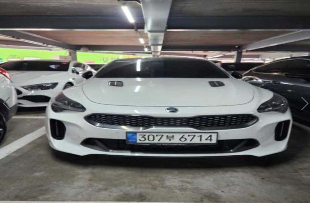 Kia Stinger Meister