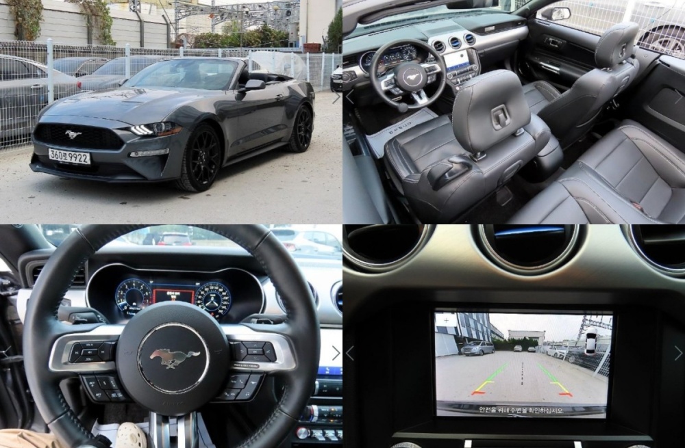 Ford mustang